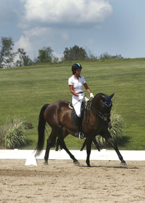 Dressage Gold Medal rider